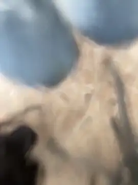 Adele Pinkk online show from 10.02.25