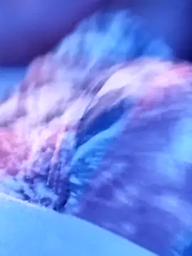 sertaonegro online show from 11.14.25