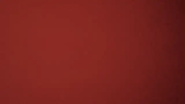 MeowLuz online show from 09.09.25