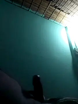 Snapshot of bappyandbanulove chatting on 11.27.25 bappyandbanulove online show from 11.27.25