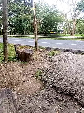 charlotte dante212 online show from 11.23.25