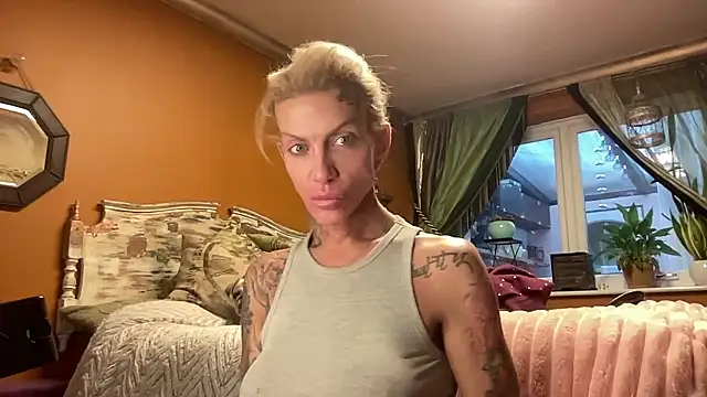 xl uk top trans online show from 01.12.26