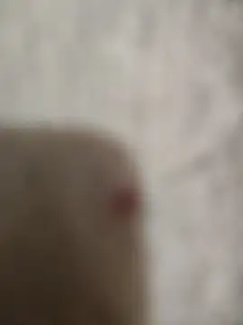 sert erkekk online show from 01.13.26