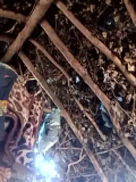 Hot rachnasexy online show from 03.09.26