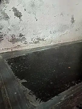 Snapshot of chubby_babitha-telugu chatting on 09.19.25 chubby babitha-telugu online show from 09.19.25