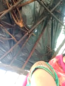 H seema online show from 04.12.26