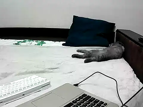 black lany online show from 09.22.25