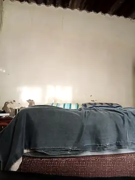 average price online show from 10.08.25