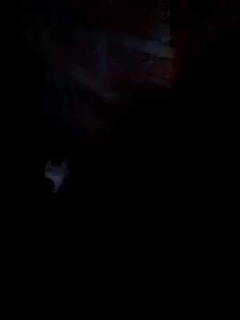 nini-will online show from 09.18.25