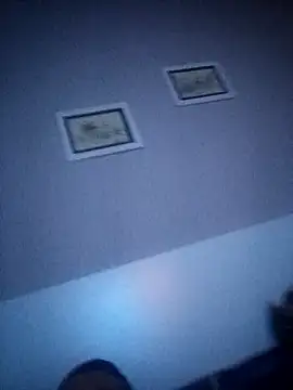 NiceBadgera online show from 09.21.25