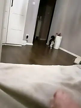 NiceBadgera online show from 10.10.25