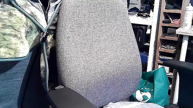 Snapshot of georgew62 chatting on 09.20.25 georgew62 online show from 09.20.25