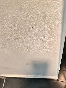 penchis90 online show from 12.14.25