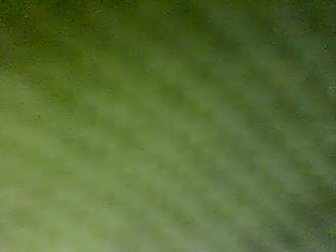 Snapshot of honestglacier9 chatting on 10.17.25 honestglacier9 online show from 10.17.25