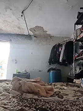 Ferxxxo1503 online show from 04.04.26