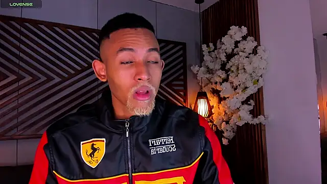 B Wild online show from 11.18.25