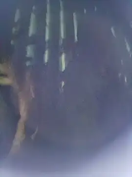 Snapshot of 8133vaibhavh chatting on 10.09.25 8133vaibhavh online show from 10.09.25