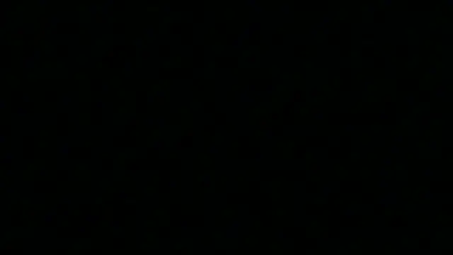 Pyrelissa online show from 12.04.25