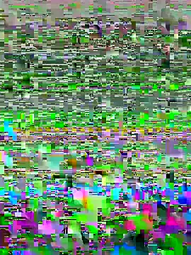 luzmelzinha online show from 05.02.26