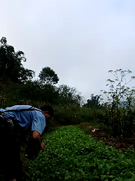 kemtuoi-sex online show from 10.03.25