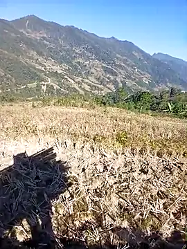 kemtuoi-sex online show from 11.30.25