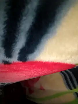 Chanderi19 online show from 04.19.26