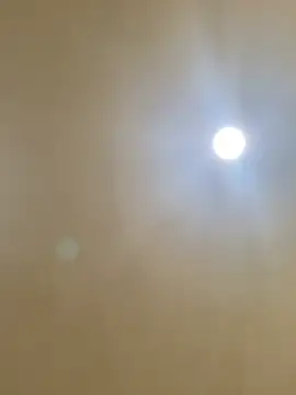 aalvaro98 online show from 02.04.26