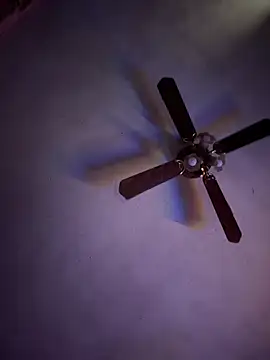 shortywidaphatty online show from 04.15.26