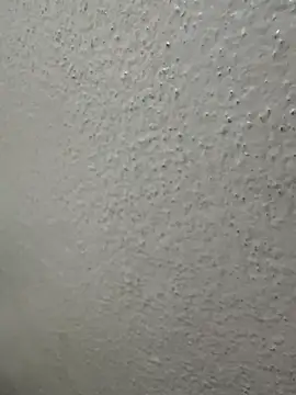 Snapshot of Wild-Nayra chatting on 10.04.25 Wild-Nayra online show from 10.04.25