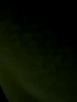 Snapshot of Wild-Nayra chatting on 10.19.25 Wild-Nayra online show from 10.19.25