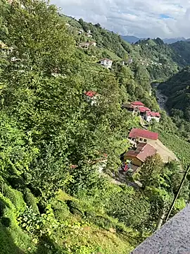 LAZ3R1 online show from 10.21.25