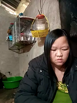 riso-00 online show from 01.09.26