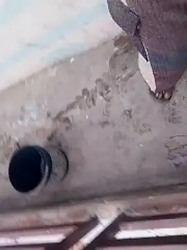 haryanaboypanipat12 online show from 04.03.26