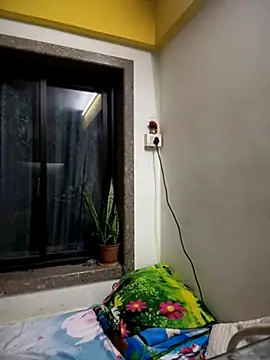 engineerboy14 online show from 10.17.25