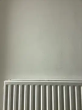 dlasian2026 online show from 10.31.25