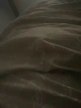 dlasian2026 online show from 11.04.25