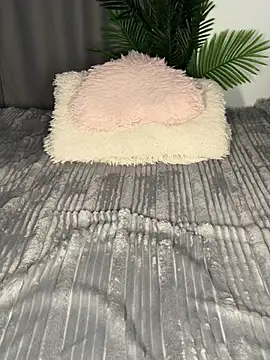 Andrestarr online show from 04.08.26