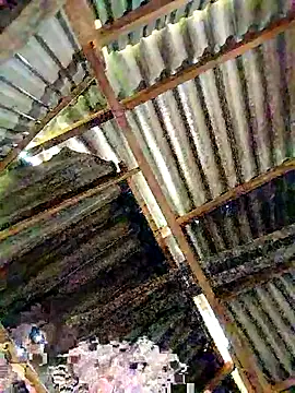 lyuyenkk online show from 11.03.25