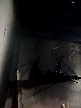 Dung x online show from 01.10.26