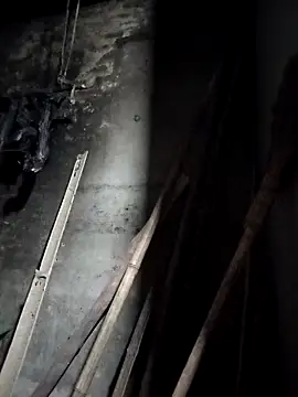 Dung x online show from 03.23.26