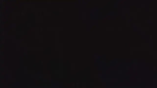 SienaWild online show from 12.22.25