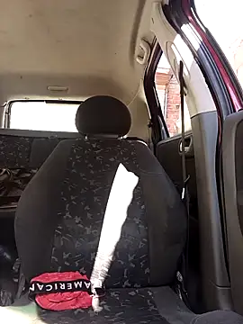 Snapshot of IssuedEcho chatting on 02.28.26 IssuedEcho online show from 02.28.26