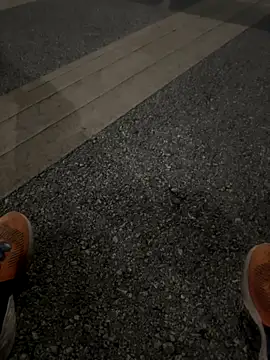 Snapshot of CZpublic chatting on 10.20.25 CZpublic online show from 10.20.25