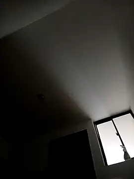 zamir adam online show from 10.20.25