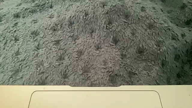 23istanblue23 online show from 04.02.26