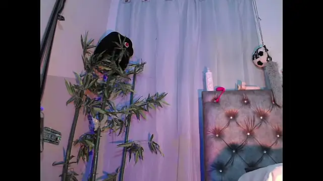 Jamadoll66 online show from 03.17.26