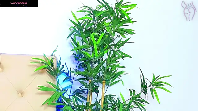 CoraVex online show from 09.16.25