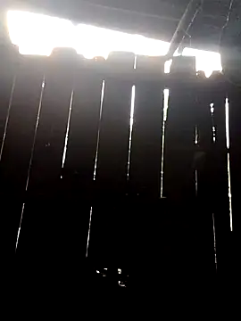 Snapshot of donna-bae chatting on 10.10.25 donna-bae online show from 10.10.25