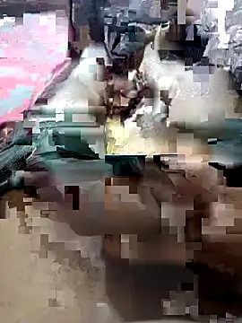 UnbowedAgronomy online show from 02.14.26