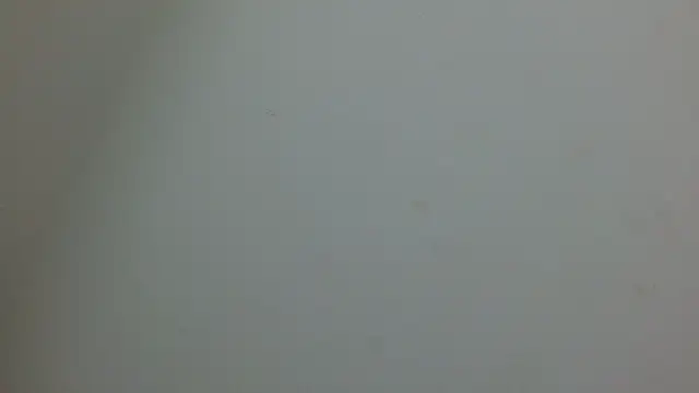 cristal1609 online show from 05.14.26